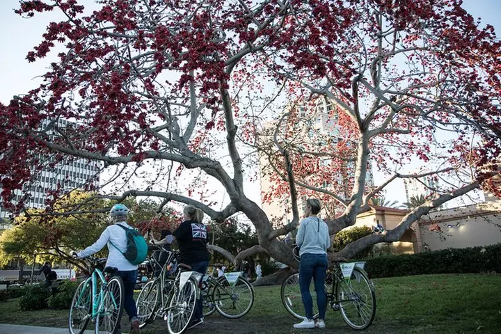 St Pete Ebike Tour with Lunch - Image 4