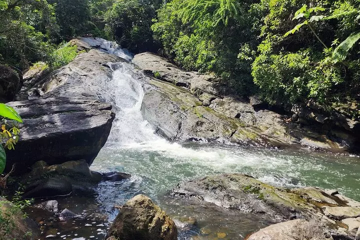 El Yunque Rainforest and Luquillo Beach and Kiosk Private Tour - Primary Image