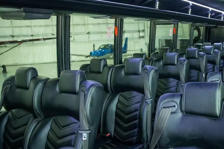 Luxury Minibus Chicago City Tour