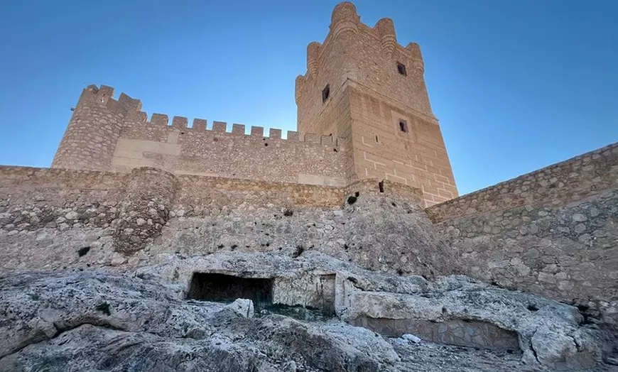 Image 12: Bodega Premium con 7 Catas y Castillo desde Alicante y Benidorm