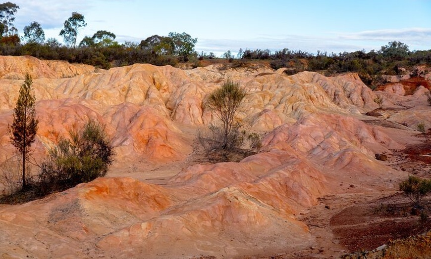 Image 10: Murray River Paddle Steamer and Wildlife Experience Tour