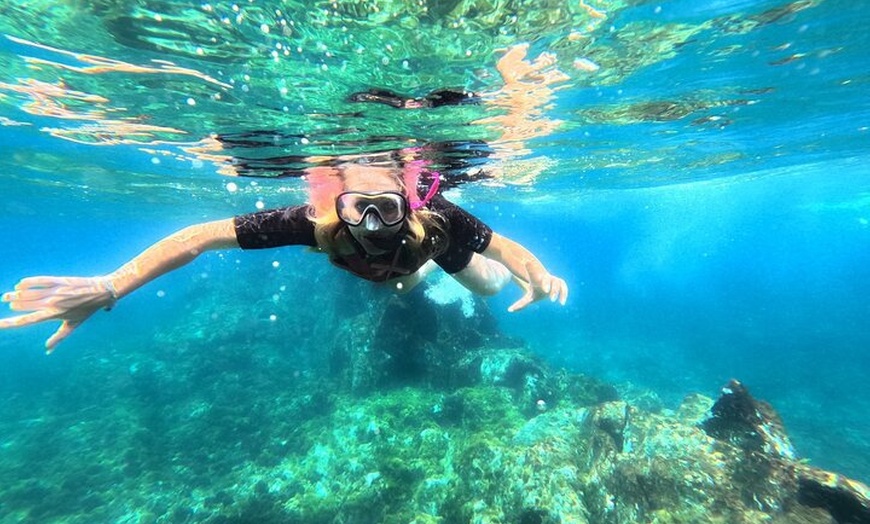 Image 5: Kayak con delfines y tortugas y snorkel en Palmmar