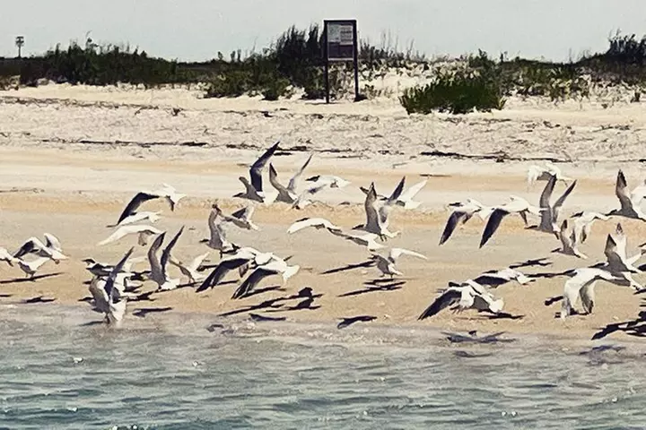 Masonboro Island Ferry