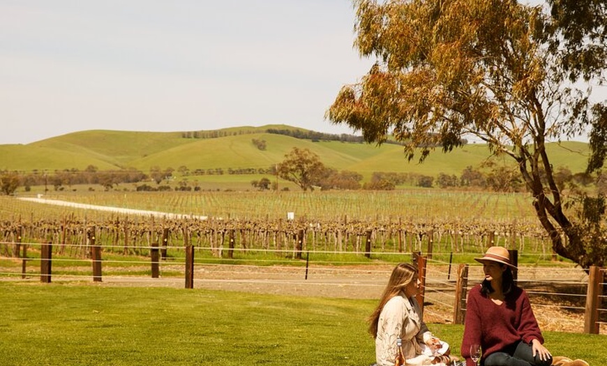 Image 2: Romantic Vineyard Horse Riding and Picnic