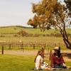 Image 2: Romantic Vineyard Horse Riding and Picnic