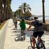 Image 9: Excursión en bicicleta por la costa de Málaga