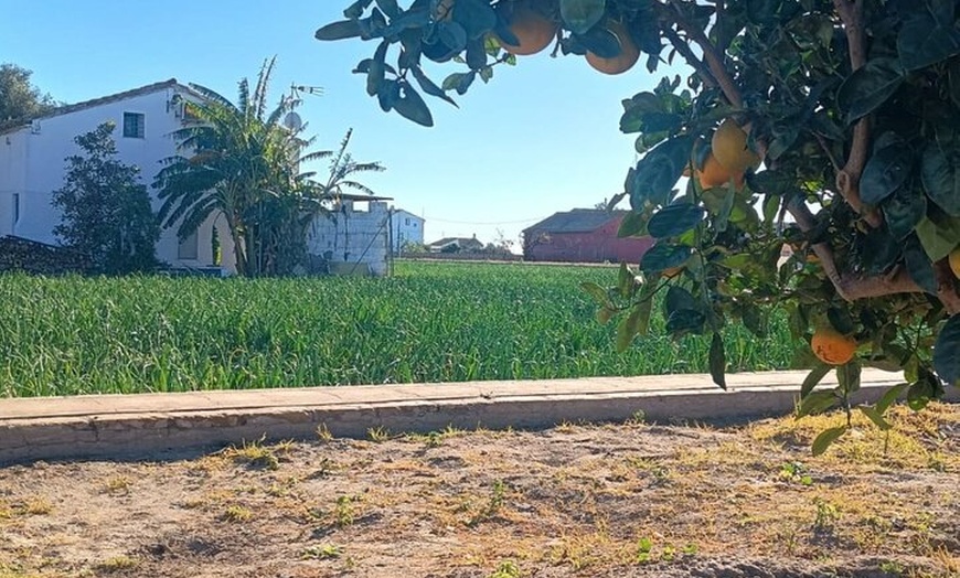 Image 13: Tour gastronómico de día completo por Valencia