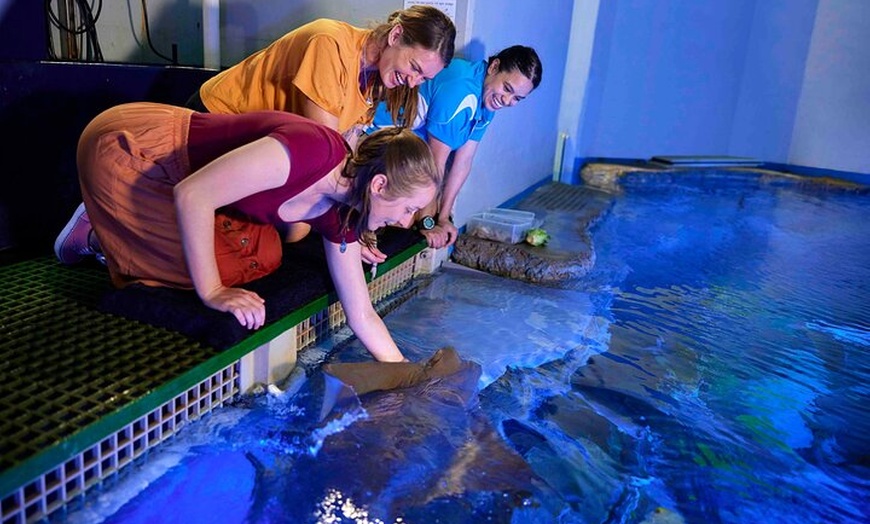 Image 3: Cairns Aquarium Marine Life Encounter Ticket