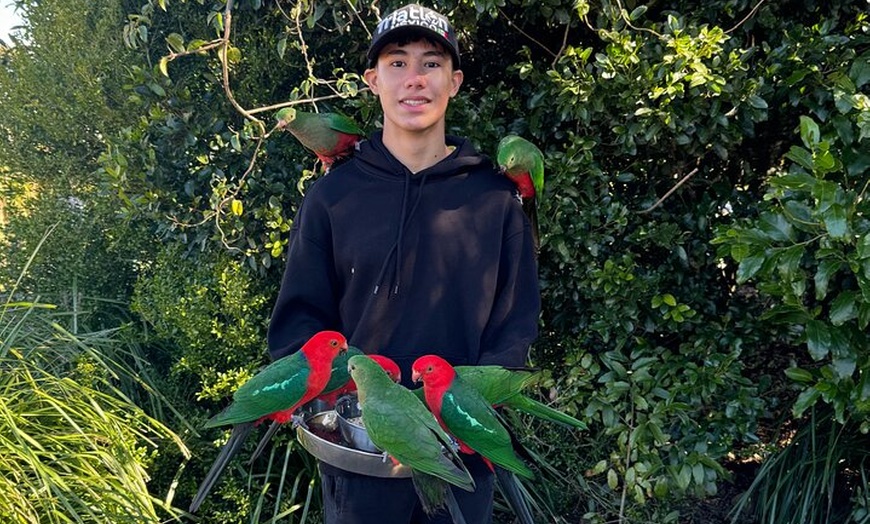 Image 2: Lamington Day Tour O'Reilly's Treetop, Wildlife and Wine Tasting