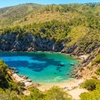 Image 5: Aventura de snorkel en Ibiza