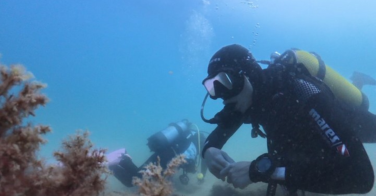 Bautizo de buceo para grupos reducidos en Barcelona