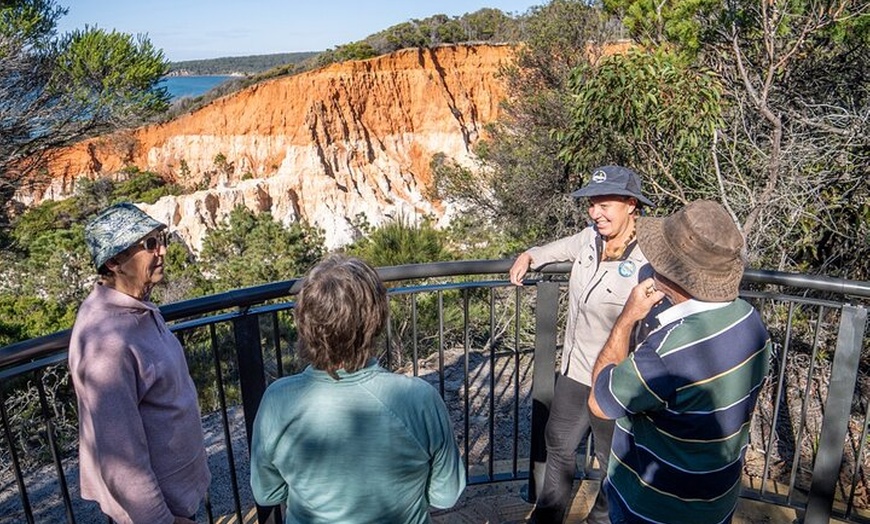 Image 2: Tour from Eden to Merimbula Wetlands Wildlife and Coastline