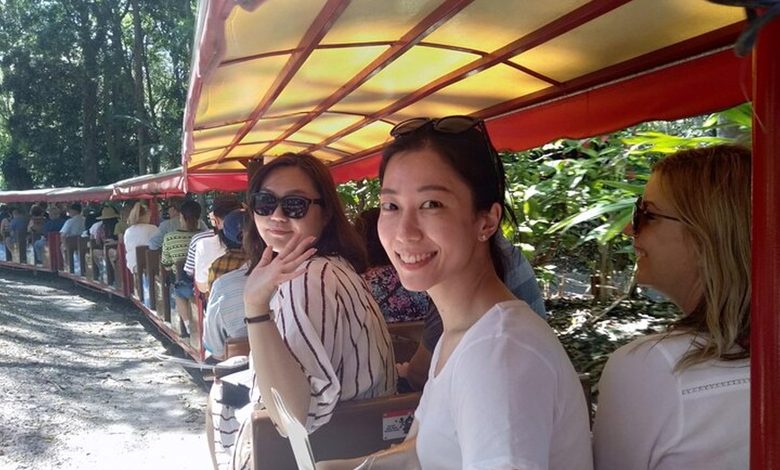 Image 6: Currumbin Wildlife Sanctuary & Burleigh Heads Private Tours