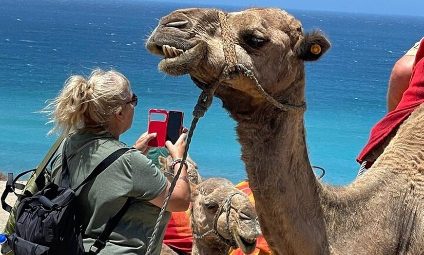 Image 4: Marruecos Aventura de 4 días desde Sevilla