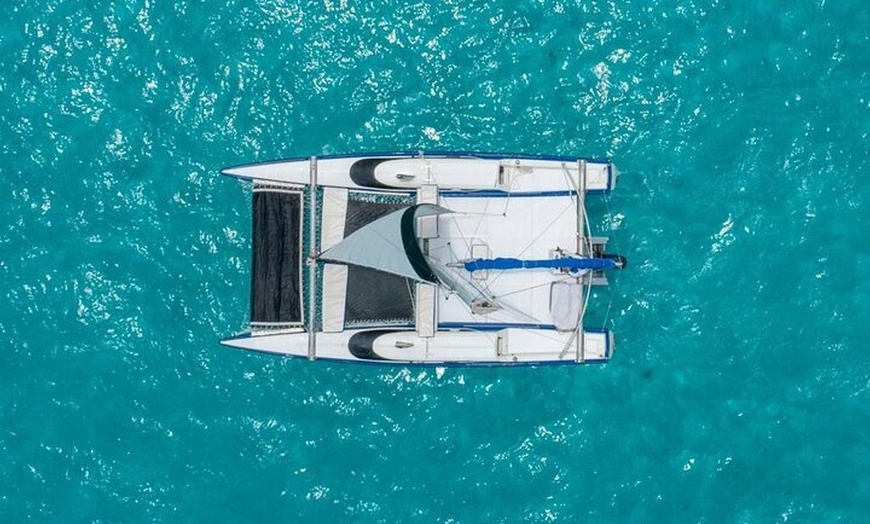 Image 16: Private Catamaran Tour to Isla Mujeres