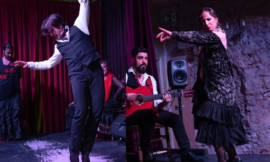 Image 18: Espectáculo de flamenco en el Palacio Dalmases de Barcelona