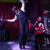 Image 18: Espectáculo de flamenco en el Palacio Dalmases de Barcelona
