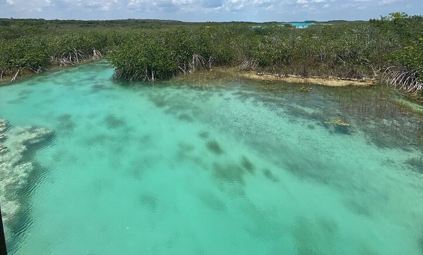 Image 14: Rapids EN Bacalar Tour from Cancun and Riviera Maya