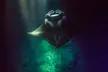 Manta Ray Night Snorkel Kona - Coral Reef Snorkel Adventures - Second Medium