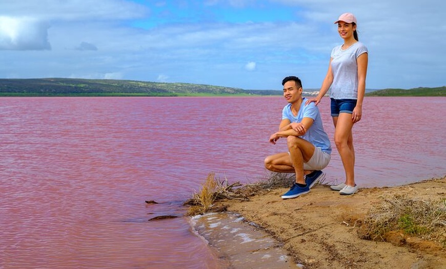 Image 12: 2 Day Pink Lake Tour in Pinnacles and Sand Dunes Japanese Guide