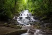 Full Day Tour from Atlanta to Amicalola Falls and Blue Ridge - Second Medium