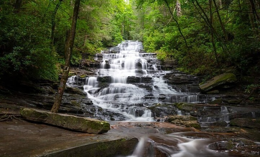 Image 5: Full Day Tour from Atlanta to Amicalola Falls and Blue Ridge