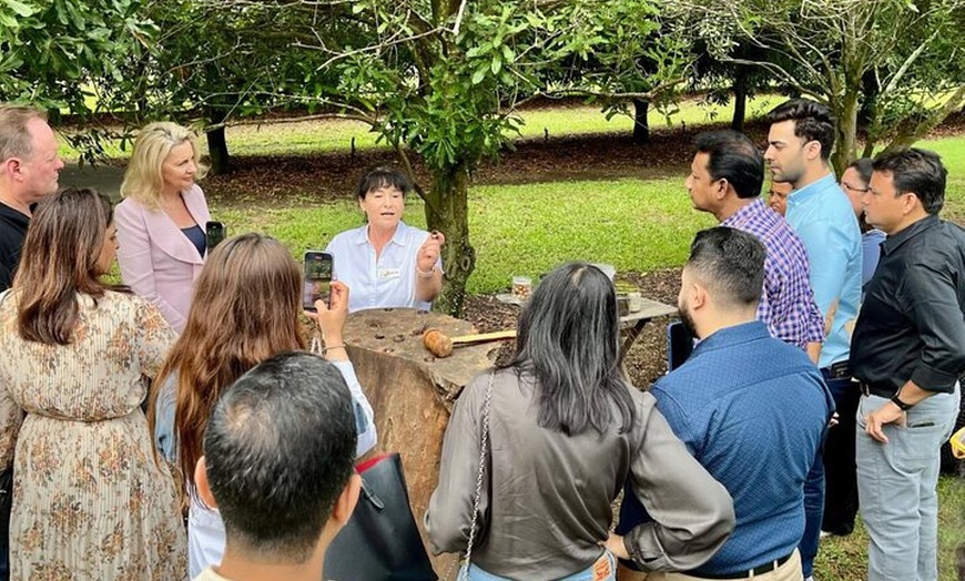 Image 2: Macadamias Australia Orchard Tour in Bundaberg
