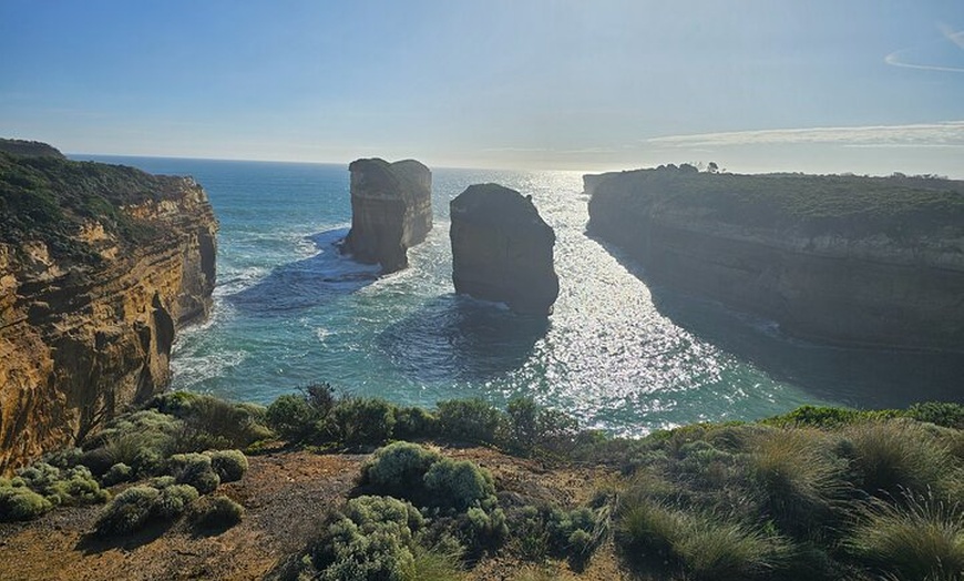 Image 12: Great Ocean Road Small Group Tour with Dingos, Sparkling & Lunch