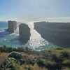 Image 12: Great Ocean Road Small Group Tour with Dingos, Sparkling & Lunch