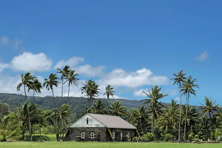 Half Day Private Road to Hana Tour with Pickup - Primary Image