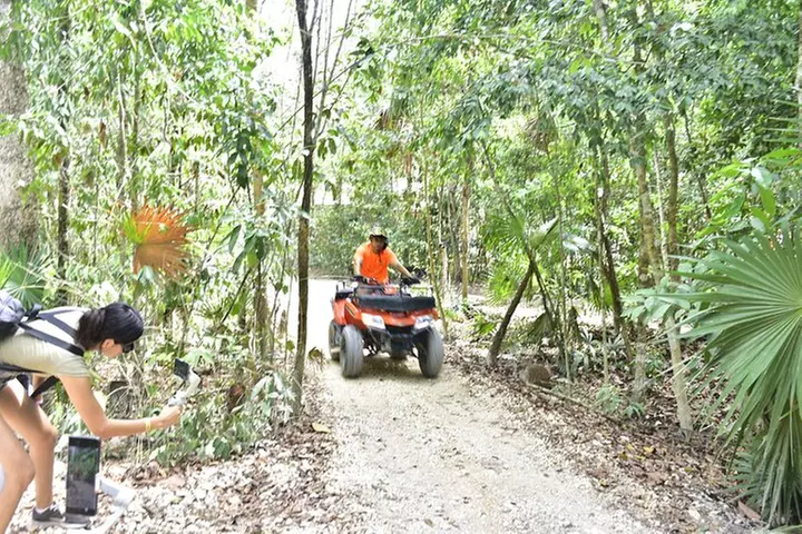 ATVshared,Horseback Riding Cenote &Ziplines from Playa del Carmen