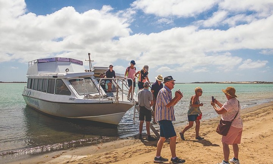 Image 5: Coorong 3.5-Hour Discovery Cruise