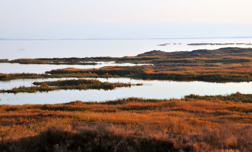 Image 27: ✈ USBEKISTAN | Taschkent - Die Essentials Usbekistans, 9 Nächte - R...