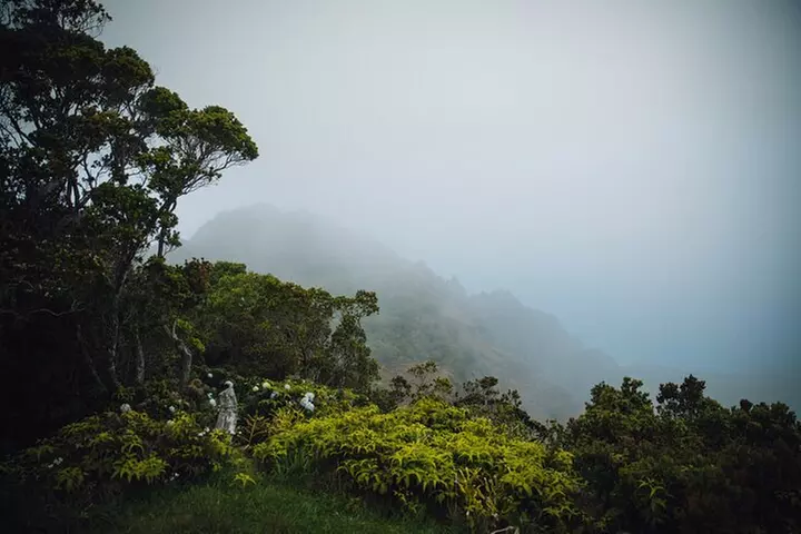 Day Trip from Oahu to Kauai: Waimea Canyon & Koke'e Tour