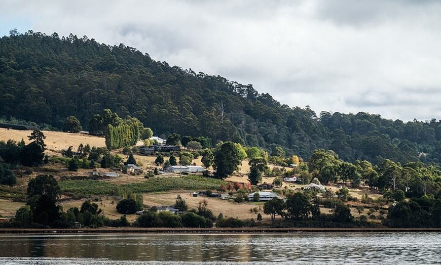 Image 6: Huon Harvest (wine, cider & local produce)