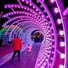 Image 9: Blackpool Xmas By the Sea Illuminations Bus Tour