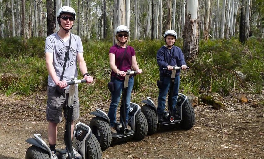 Image 2: Launceston: Hollybank Treetops Adventures - Segway Tour