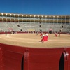 Image 5: Visita a la Plaza de Toros y Museo de Madrid Las Ventas con Audioguía