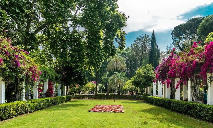 Image 6: Parque María Luisa de Sevilla y Plaza de España Yoga y Brunch