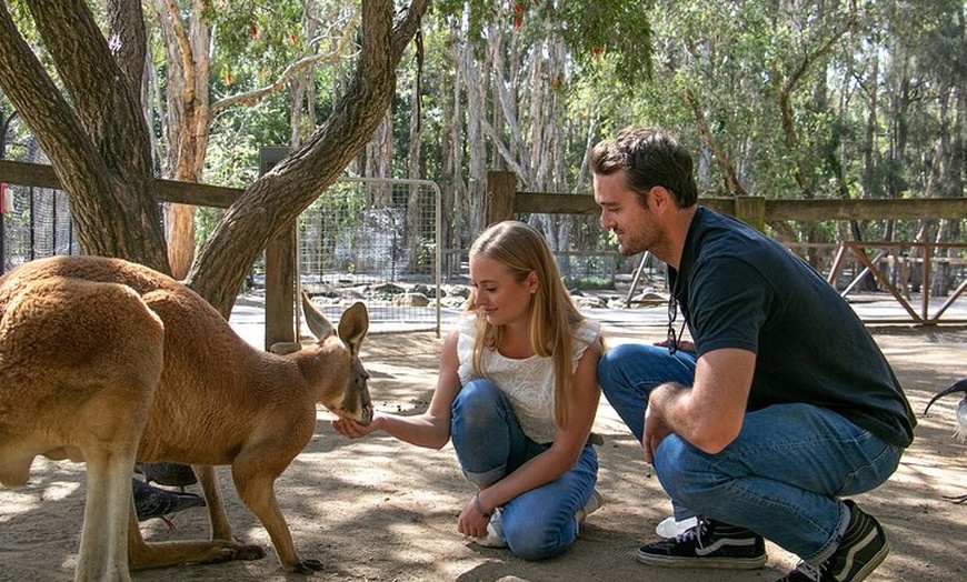 Image 3: Currumbin Wildlife Sanctuary General Entry Ticket