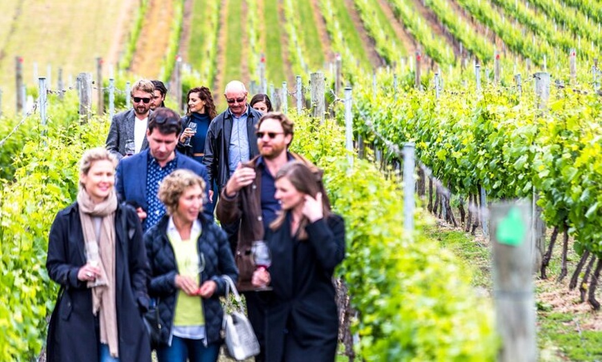 Image 2: Huon Harvest (wine, cider & local produce)