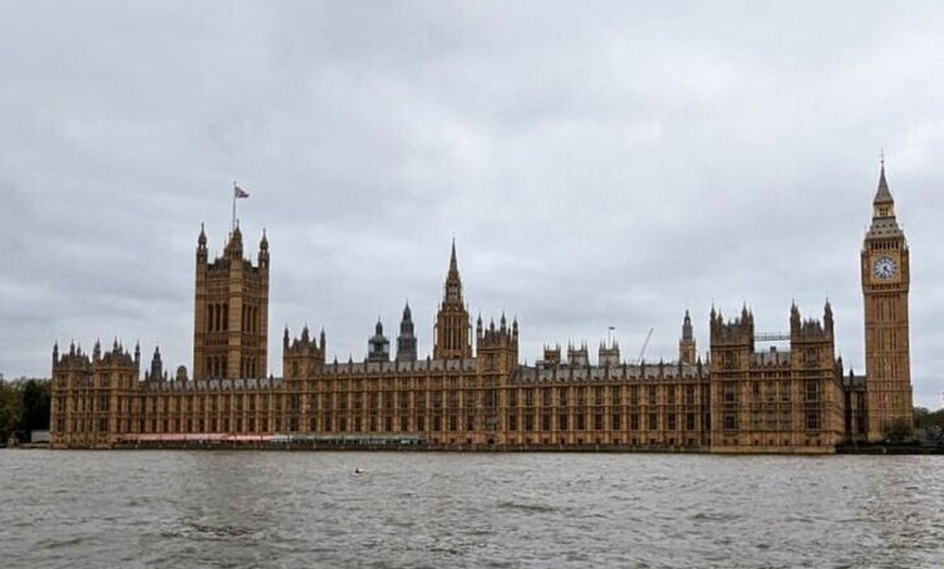 Image 2: Private Walking Tour of London