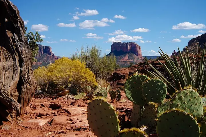 Sedona Half Day Private Tour & Hike - Primary Image