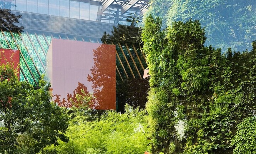 Image 3: Musée du quai Branly - Jacques Chirac Billet d'entrée et croisière