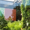Image 3: Musée du quai Branly - Jacques Chirac Billet d'entrée et croisière