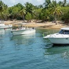 Image 7: Full Day Private Boat Tour At Fajardo Local Keys