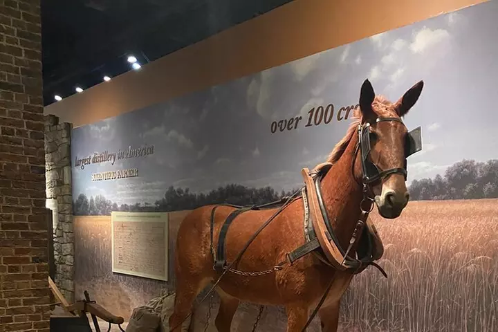 Full-Day Tour of Washington DC with Mount Vernon & Old Alexandria