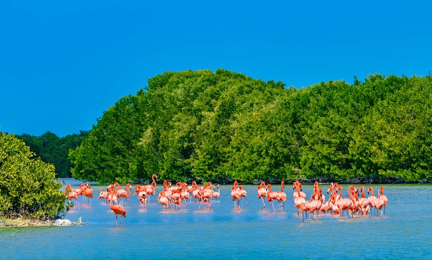 Image 6: ✈ MESSICO | Yucatan - Tour dello Yucatan con soggiorno a Cancún, 8 ...