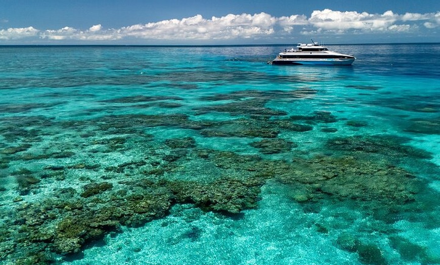 Image 9: Silversonic Outer Great Barrier Reef Cruise from Port Douglas