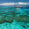 Image 9: Silversonic Outer Great Barrier Reef Cruise from Port Douglas
